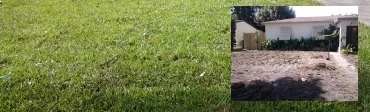 Sodding